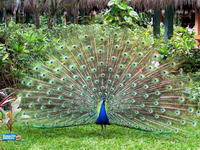 201221104050.jpg